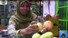 Sebetulnya selain buahnya, daun jambu biji pun punya khasiat.
