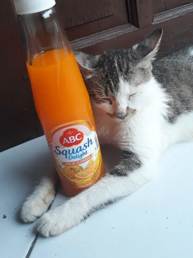 meme nunggu bedug maghrib