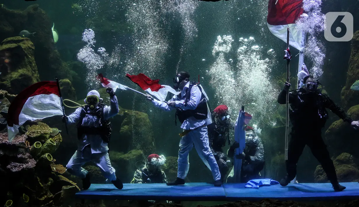 Penyelam mementaskan drama teatrikal yang bertajuk "Semangat perjuangan" di akuarium utama Sea World, Ancol, Jakarta, Selasa (10/11/2020). Pertunjukan dengan latar belakang Pertempuran Surabaya itu digelar pada 7-10 November untuk memperingati Hari Pahlawan Nasional. (Liputan6.com/Johan Tallo)
