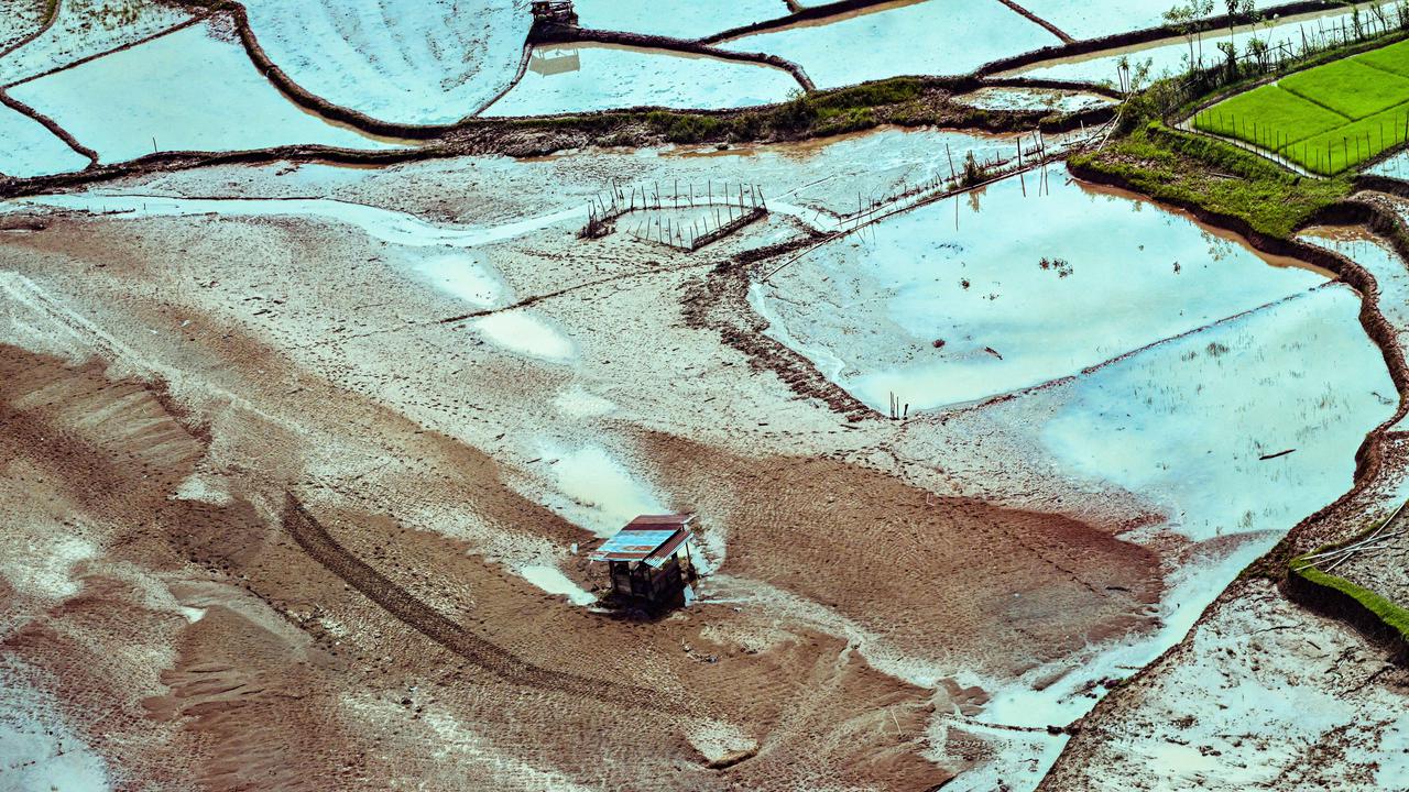Cetak Sawah Terdampak Bencana Sumatera Mulai Januari 2026: Benih-Alsintan Gratis
