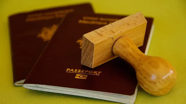 Ilustrasi passport (pixabay)