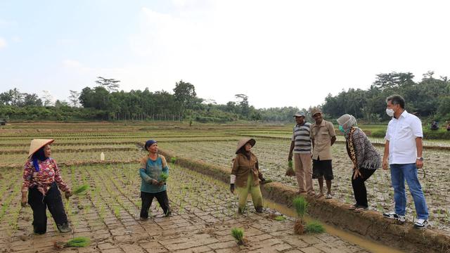 Dukung Ketahanan Pangan, BRI Salurkan Bantuan Senilai Rp 1 ...
