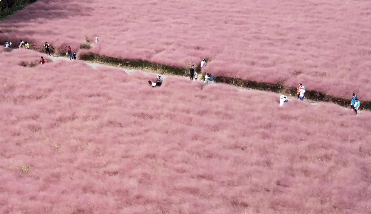 Foto yang diabadikan dari udara ini menunjukkan orang-orang mengunjungi Jiabei Country Park di Shanghai, China timur, pada 5 Oktober 2020, hari kelima libur Hari Nasional dan Festival Pertengahan Musim Gugur. (Xinhua/Liu Ying)