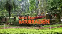 Kebun Raya Baturraden, Purwokerto, Jawa Tengah. (Liputan6.com/Aris Andrianto)