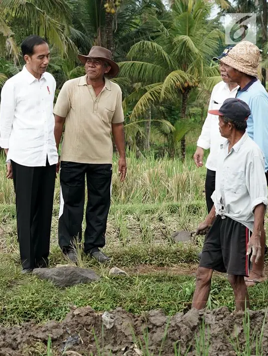 Presiden Jokowi  menyapa warga saat meninjau pelaksanaan padat karya di Desa Kukuh, Kecamatan Marga, Tabanan, Bali, Jumat (23/2). Warga diberi upah Rp 125 ribu per hari untuk tukang dan Rp 85 ribu bagi pekerja. (Liputan6.com/Pool/Biro Pers Setpres)