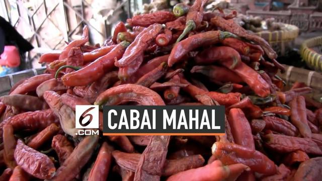 Mahalnya harga cabai mencapai Rp 70.000 per Kg membuat warga Tegal memburu cabai busuk di pasar. Harga cabai busuk  pun naik dari Rp 10.000 /kg menjadi Rp 20.000 /kg.