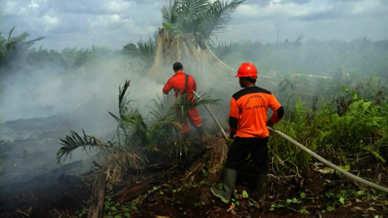 Kebakaran Riau