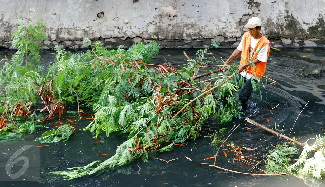 Petugas Dinas Kebersihan DKI Jakarta mengangkat sampah pohon di saluran air Bundaran HI, Jakarta, Minggu (15/11/2015). Memasuki musim hujan, Pemda DKI Jakarta giat membersihkan saluran air. (Liputan6.com/Yoppy Renato)