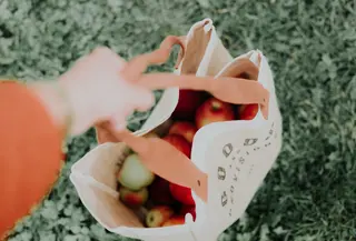 Memulai gaya hidup yang ramah lingkungan dapat dilakukan sesederhana dari rumah. (Unsplash.com/Priscilla du preez).