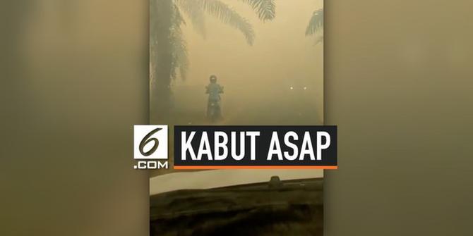 VIDEO: Akibat Kabut Asap Tebal, Pengendara Motor Tabrak Pohon Sawit