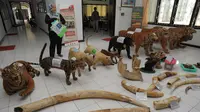 Pasutri di Jambi Jual Kulit Harimau Sumatera ke Orang Kaya