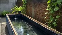 9 Model Kolam Ikan Lele di Halaman Sempit Tanpa Gali Tanah, Solusi Budidaya Rumahan