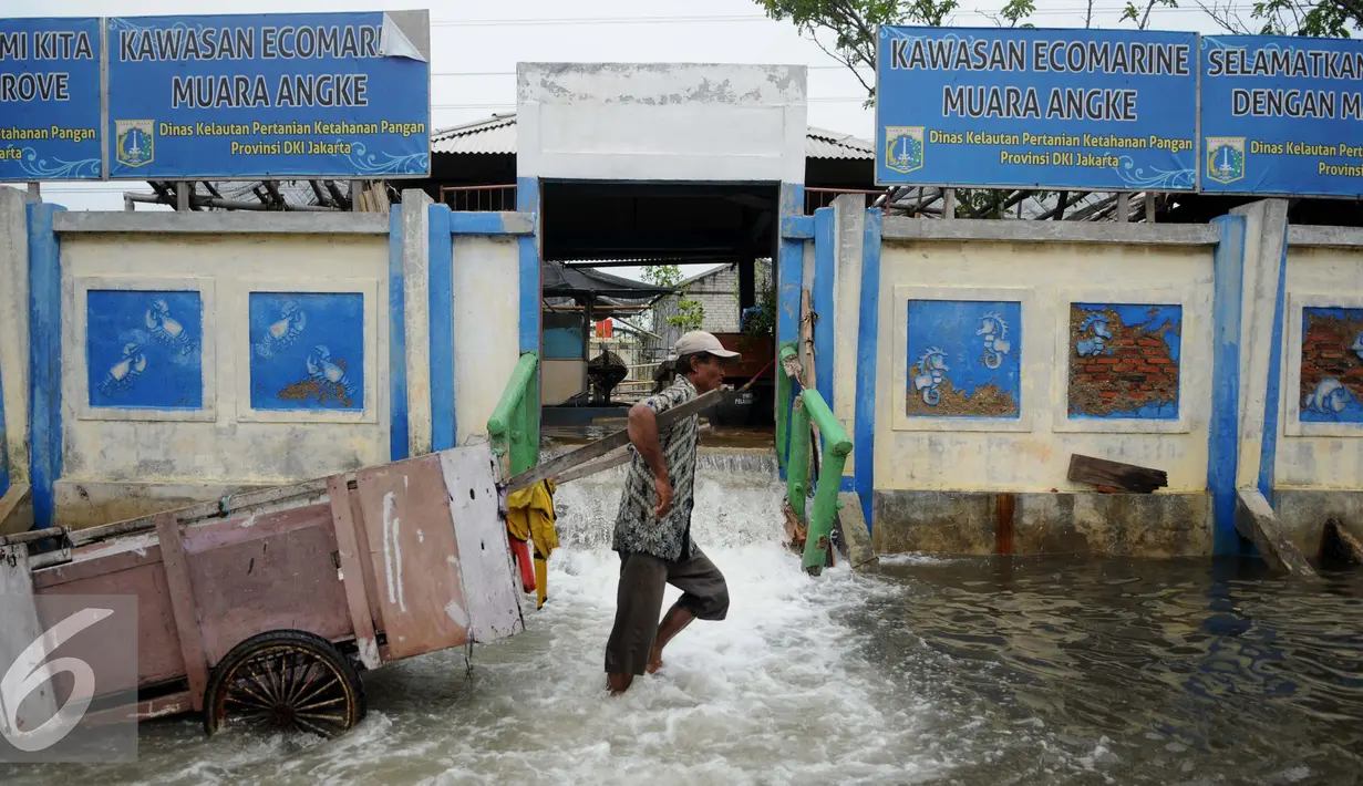 Seorang warga melitasi banjir yang menggenangi Kawasan Muara Angke, Jakarta, Rabu (11/1). Banjir yang terjadi hampir setiap hari dalam satu bulan terakhir akibat rob yang diperparah dengan jebolnya tanggul. (Liputan6.com/Gempur M. Surya)