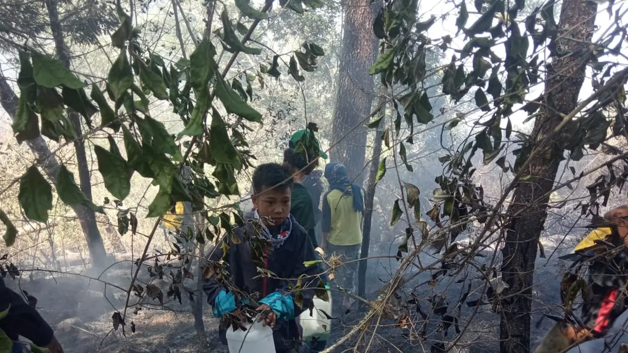 Kebakaran di Gunung Bawakaraeng