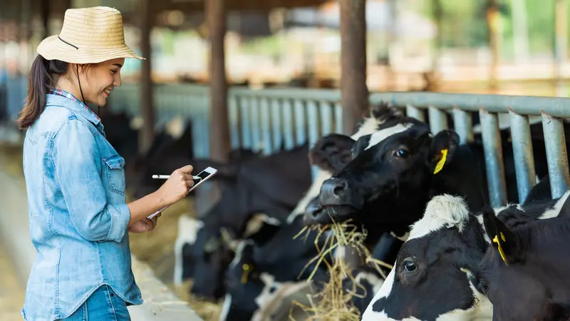 Cimory Luncurkan 1000 Srikandi Peternak Demi Tingkatkan Kualitas Perternakan Sapi Perah di Indonesia