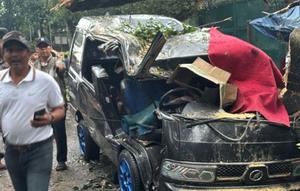 Pohon tumbang timpa pengemudi mobil di Bandung. (Dok. Antara)