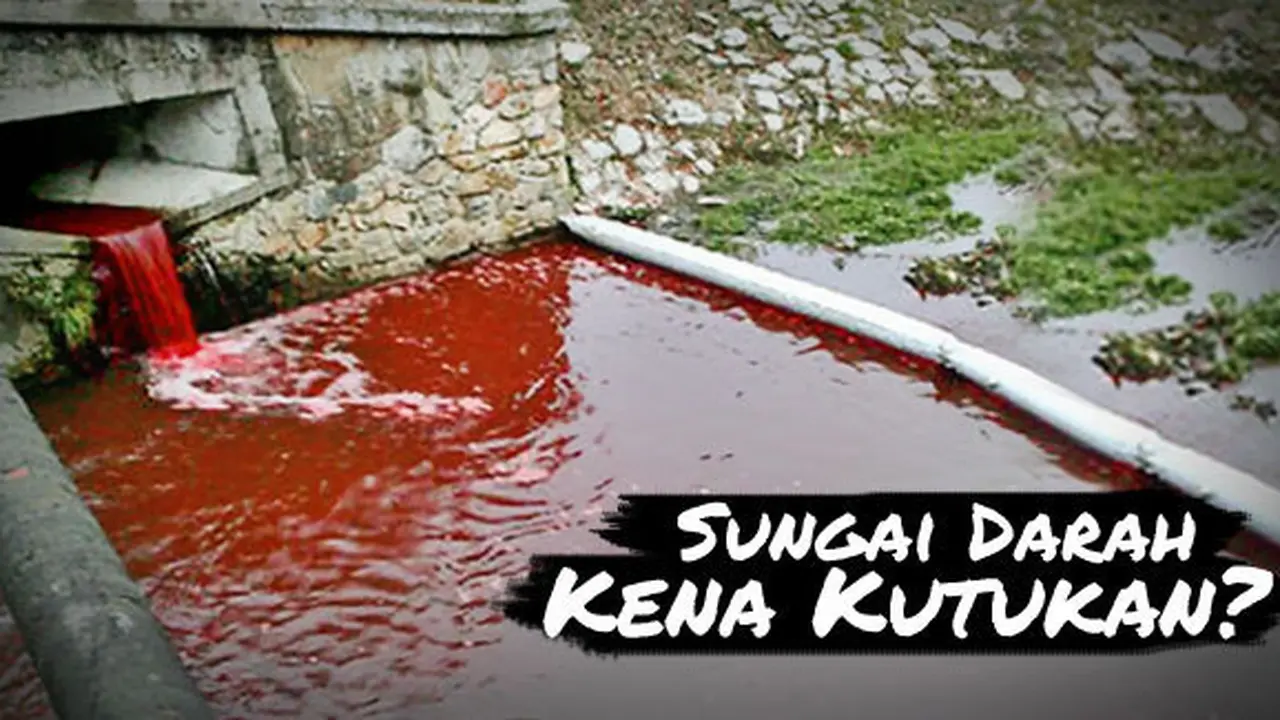 Sungai merah di Myjava | Foto: Dailymail.co.uk