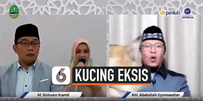 VIDEO: Aksi Kucing Ikut Eksis Bareng Aa Gym dan Ridwan Kamil