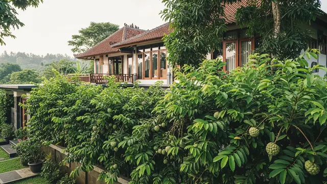 Srikaya, Pohon Buah yang Bisa Jadi Pagar Alami Anti Hewan Pengganggu/Gemini AI