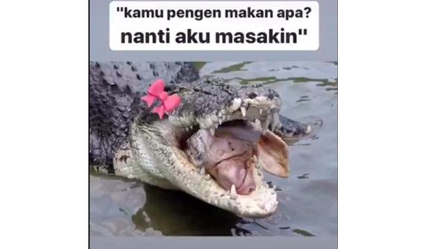 10 Meme Buaya Darat Versi Betina Ala Netizen Ini Bikin Geleng