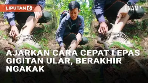 VIDEO: Pria Ini Ajarkan Cara Cepat Melepas Gigitan Ular, Berakhir Ngakak