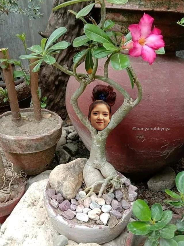 Tiara Anugrah Minta Fotonya Diedit, 6 Hasilnya Bikin Ketawa Geli