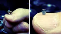 Seniman Jepang membuat diaroma 3D hanya sebesar ibu jari bahkan ada yang sebesar kuku jari. 