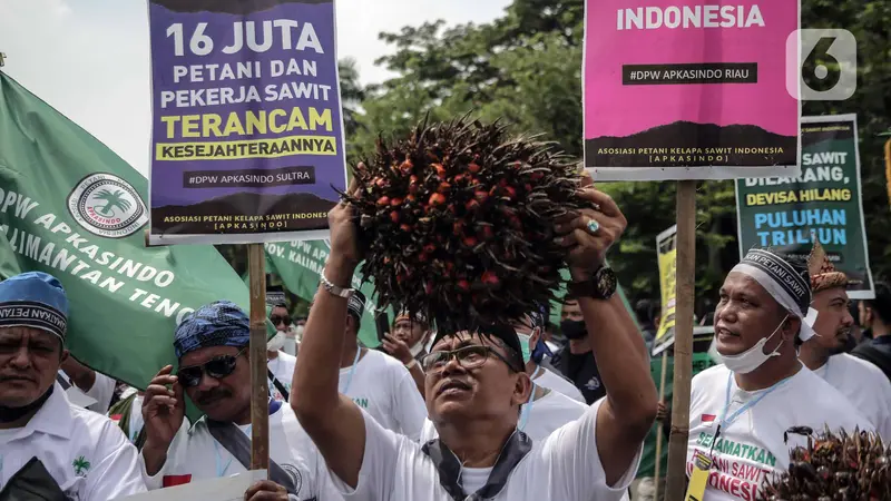 Unjuk Rasa Petani Kelapa Sawit Terkait Larangan Ekspor