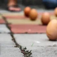 Ilustrasi telur ayam  (Liputan6.com/Fery Pradolo)