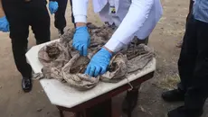 Misteri Puluhan Kafan Berisi Tulang di Magelang Terungkap