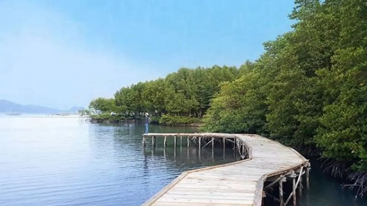 Pesawaran, Lampung
