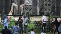 Libur Isra Miraj, 12.194 Wisatawan Padati Taman Margasatwa Ragunan