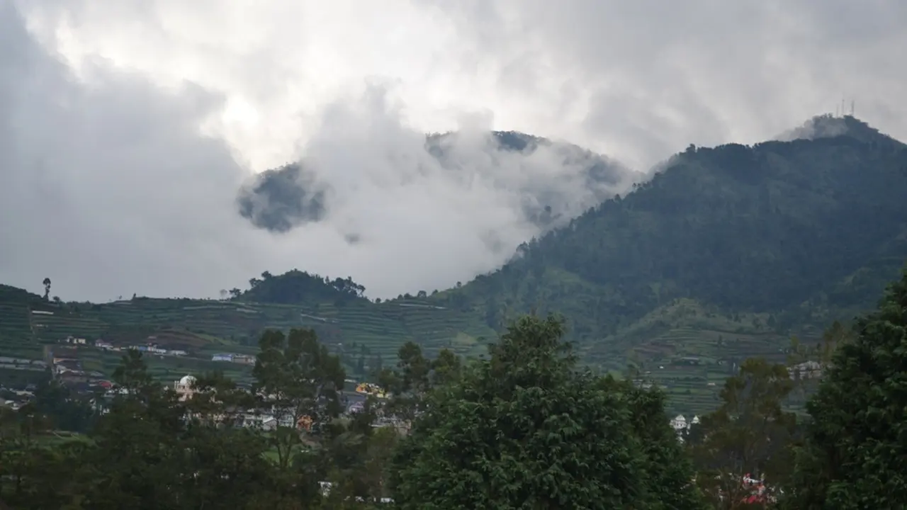 Dataran Tinggi Dieng. (Foto: Liputan6.com/Muhamad Ridlo)