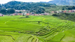 Foto dari udara yang diabadikan pada 29 Juni 2020 ini menunjukkan pemandangan sawah terasering di Xinmin, Kota Panzhou, Provinsi Guizhou, China barat daya. (Xinhua/Tao Liang)