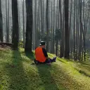 Healing Forest Bisa Redakan Stres hingga Tingkatkan Imunitas