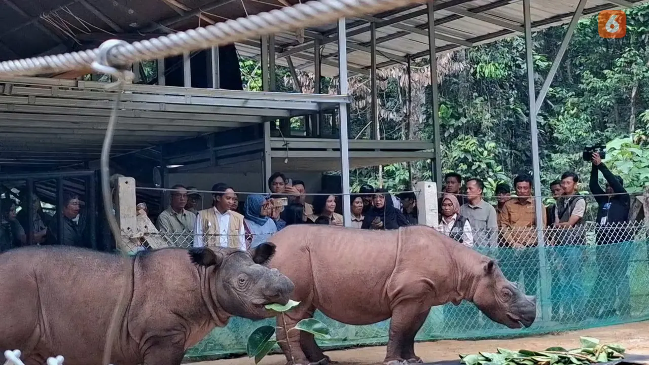 Menhut, Raja Juli Antoni janji perluas Suaka Rhino Sumatera (SRS) di Taman Nasional Way Kambas (TNWK), Lampung Timur. Foto: (Liputan6.com/Ardi).