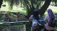 Hari Pertama Dibuka, Ragunan Sepi Pengunjung