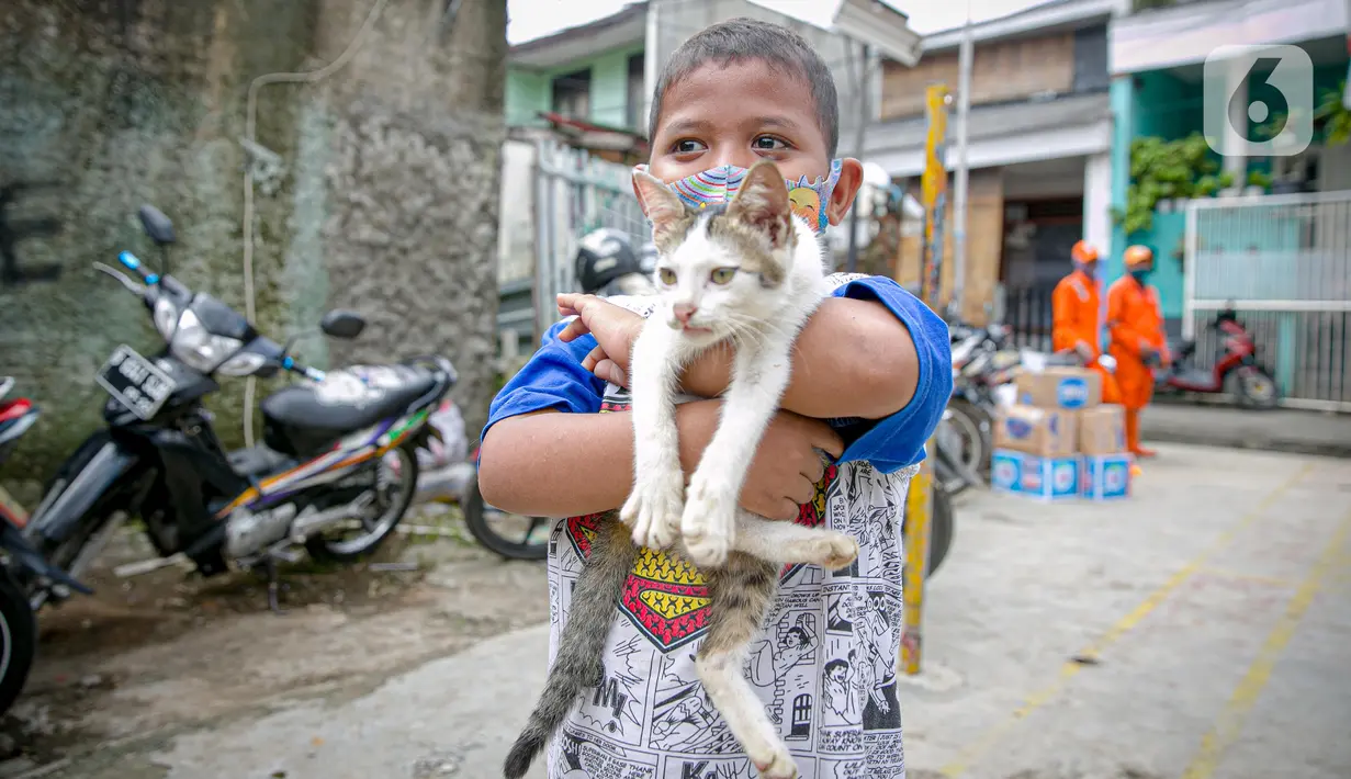 Seorang anak membawa kucing miliknya untuk diperiksa kesehatannya di Kawasan Tebet, Jakarta, Senin (22/2/2021). Dinas KPKP Provinsi DKI Jakarta mengadakan pemeriksaan kesehatan hewan peliharaan secara gratis bagi yang terdampak banjir. (Liputan6.com/Faizal Fanani)