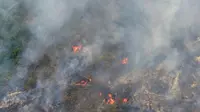 Pemandangan lahan yang terbakar dari atas helikopter di Pelalawan, Provinsi Riau, Kamis (17/9/2015). Asap dari kebakaran hutan ini mengakibatkan aktivitas warga Riau dan sekitarnya terganggu (AFP Photo/Adek Berry)