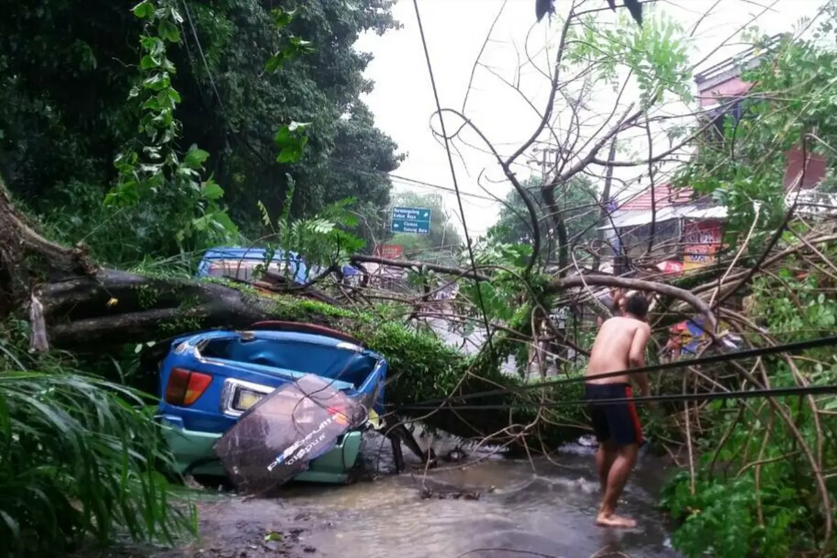 Pohon Tumbang Timpa Angkot dan Warung Bakso di Bogor