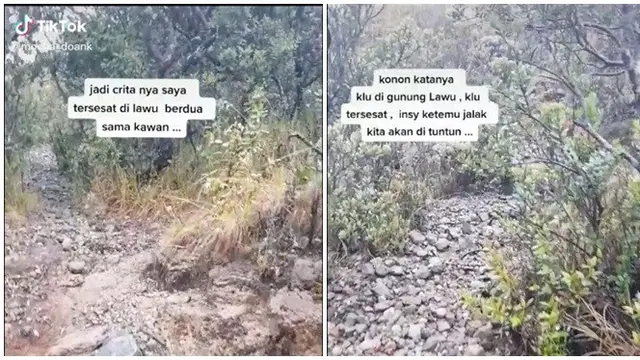 Video Pendaki Dipandu Burung Jalak saat Tersesat di Gunung Lawu Ini Jadi Sorotan (sumber: TikTok/mocha_doank)