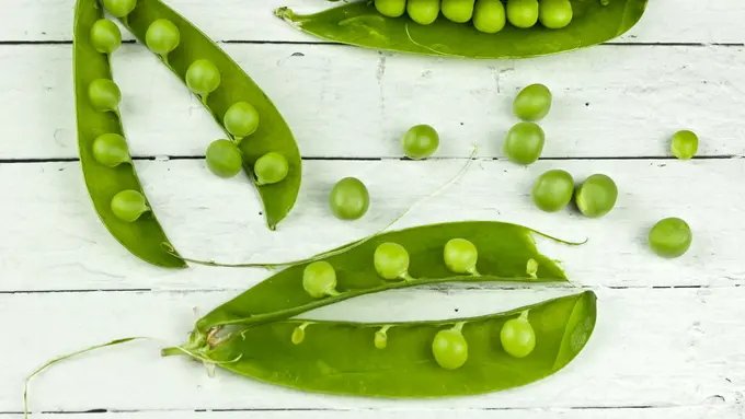 Kandungan Gizi Kacang Polong: Si Kecil yang Kaya Nutrisi untuk Kesehatanmu