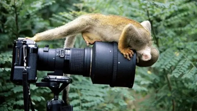 10 Foto Selfie Paling Extrim Dan Menantang Maut Di Dunia