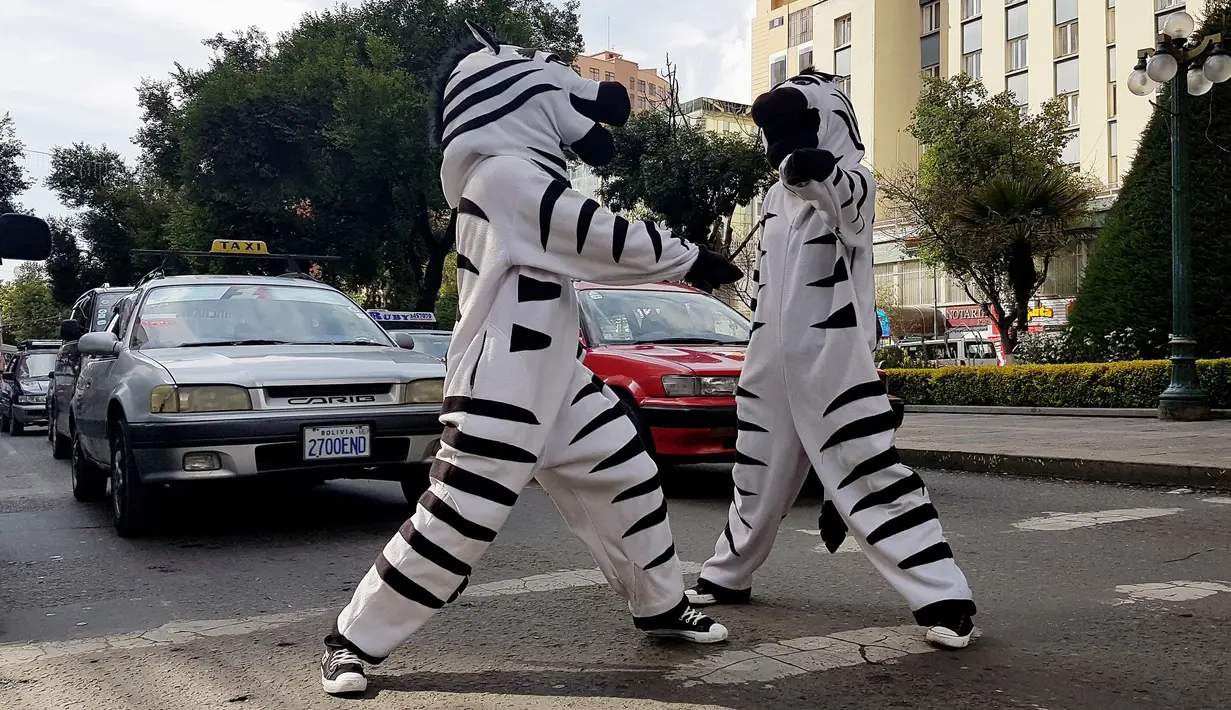 Aksi warga berpakaian seperti zebra saat menyapa pengendara saat program pendidikan di jalan di La Paz, Bolivia,(5/12). (REUTERS/David Mercado)