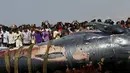 Sejumlah orang mengabadikan gambar bangkai ikan paus yang terdampar di pantai sepanjang Laut Arab, Mumbai , India, (29/1). (REUTERS / Danish Siddiqui)