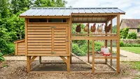 6 Desain Kandang Ayam dengan Tempat Bertengger Inovatif: Jaga Kebersihan dan Kesejahteraan Unggas