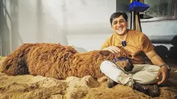 Hobi mengadopsi binatang, membuat Irfan Hakim pun jatuh cinta dengan Poka saat pertama melihatnya. Punya bulu cokelat yang tebal membuat Alpaca tersebut terlihat sungguh menggemaskan. Bapak lima anak ini pun tak berhenti untuk selalu memberikan kasih sayang kepadanya. (Liputan6.com/IG/@irfanhakim75)