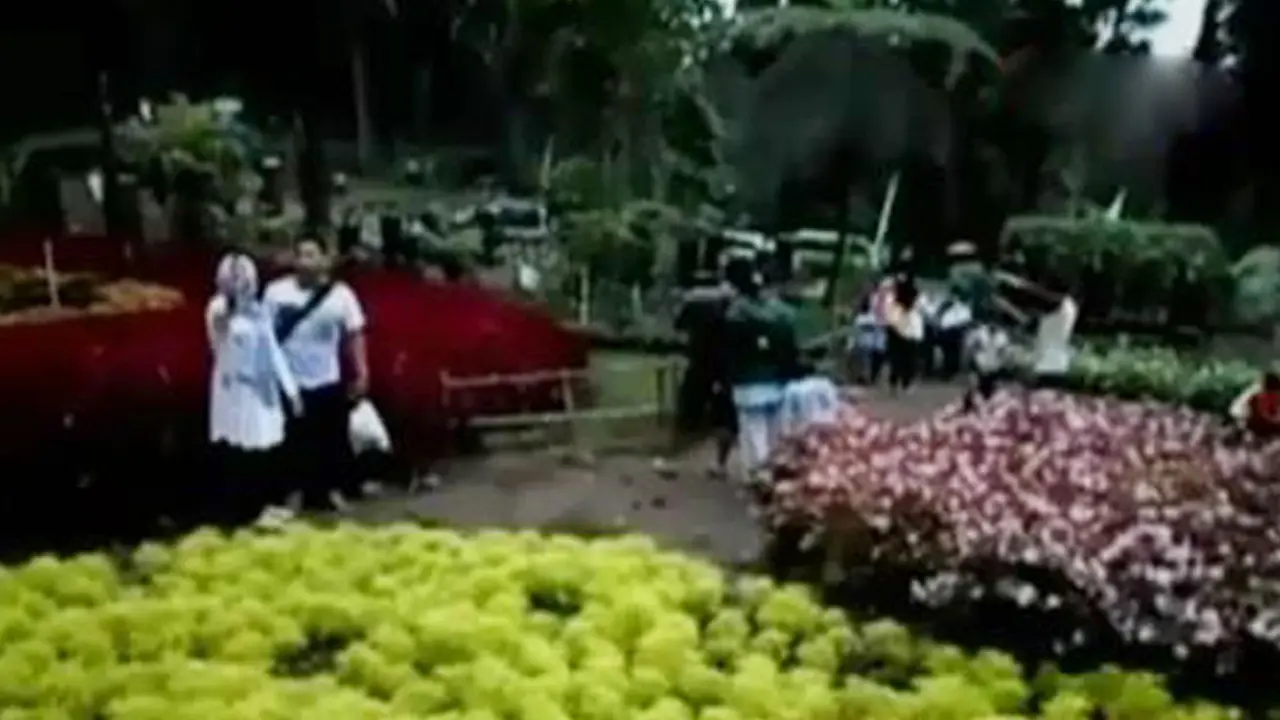 VIDEO: Giliran Taman Bunga Baturraden Terinjak Pengunjung Selfie