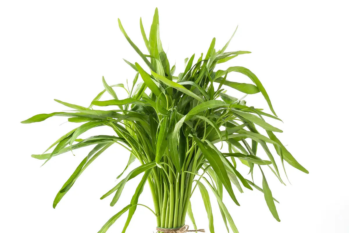 5 Ide Olahan Kangkung yang Murah dan Sehat untuk Makan Siang Ala Rumahan