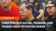 Calon Gubernur Jakarta, Pramono Anung menemui ribuan pencinta kucing yang tengah mengikuti kegiatan vaksinasi dan sterilisasi kucing di GOR Kebon Jeruk, Jakarta Barat. Calon Wakil Gubernur Rano Karno blusukan ke kawasan Glodok, Jakarta Barat.